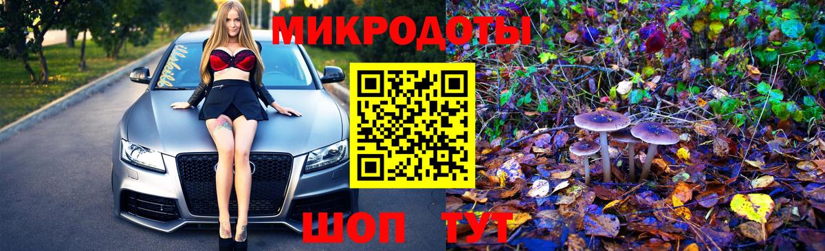 Псилоцибиновые грибы мухоморы  где купить наркоту  Димитровград  Вход с VPN 